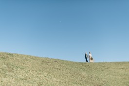 wurzel & taube